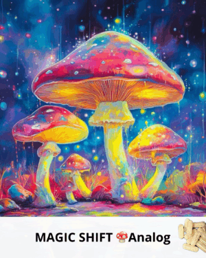 MAGIC SHIFT 🍄Analog