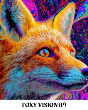 FOXY VISION (P) 🦊アナログ